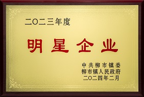 九州酷游-2023年度柳市镇明星企业